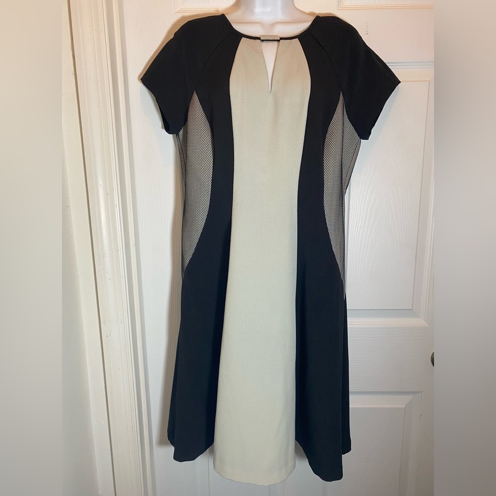 Sandra Darren Black & Cream Colorblock Mesh Sides Fit & Flare Dress